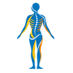 scoliosis-kyphosis-treatment-icon.png