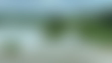 On World Hippopotamus Day