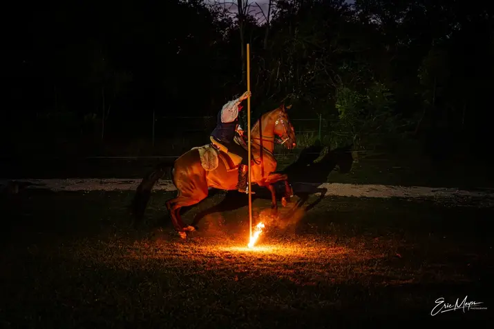 Cavalier réalisant une figure à cheval lors d’un spectacle équestre nocturne