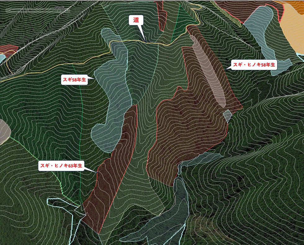 Google Earth Pro(無償)で作成