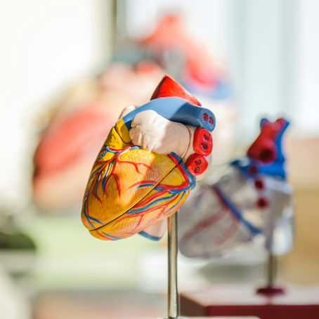 Presumed Consent in Practice: Understanding Singapore’s Organ Donation System