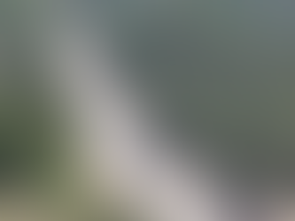 Pau Ferran: “És lamentable el poc interès del Govern per resoldre l’alta sinistralitat a la C-37”