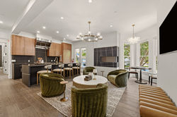 olive_oak_1_012