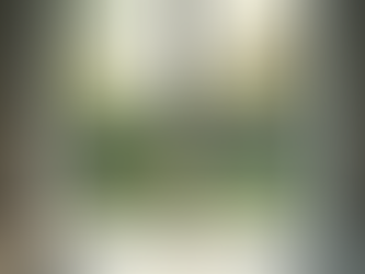 Stylish Decorative Glass Doors for Homes