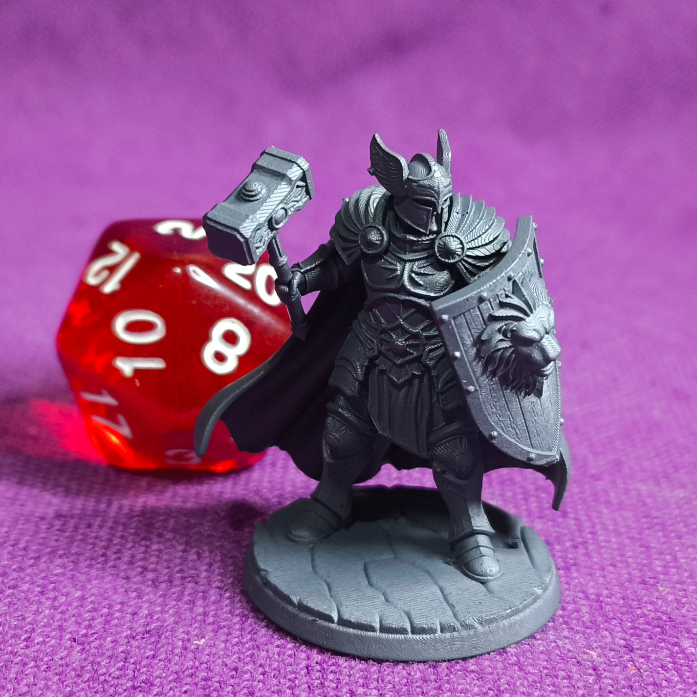 Humano Paladino
