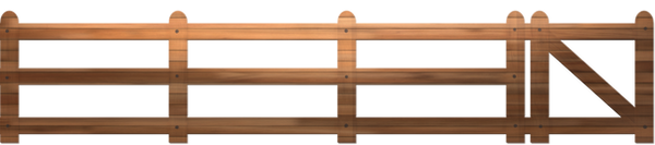 cerca copy.png