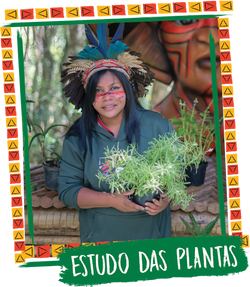 galeria-educantaro_0007_Layer-11 estudo das plantas