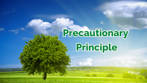 Apply the Precautionary Principle if the risks are uncertain but potentially serious: protect first, prove later. JD Solomon Inc. provides practical solutions.
