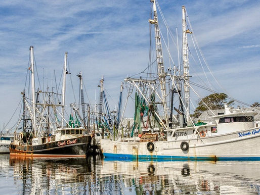 Environmental Lawsuit Asserts Going Fishing Requires an NPDES Permit