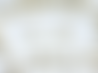 Why ALT TEXT is Essential for Communicating with FINESSE