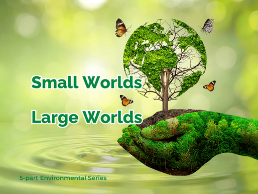 Large worlds are environments where measurement is difficult and uncertainty rules. Small worlds are environments where measurement is feasible and risk rules. JD Solomon Inc. provides practical solutions for environmental issues.