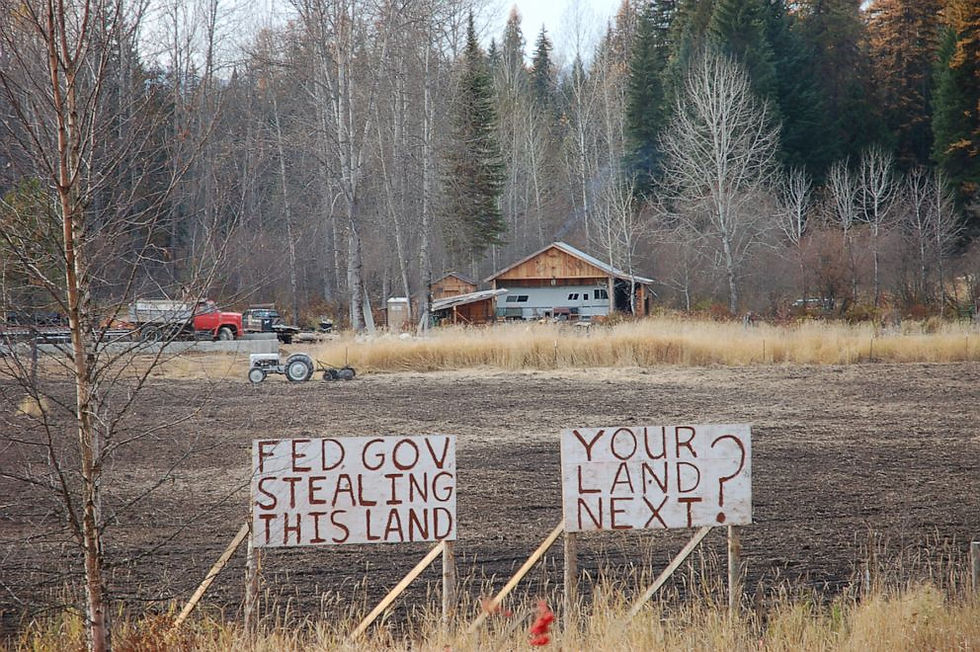 The Chevron reversal moves interpretation of grey areas away from federal agencies.