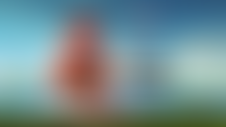 How the first S in FINESSE Creates Effective Communication to Senior Management