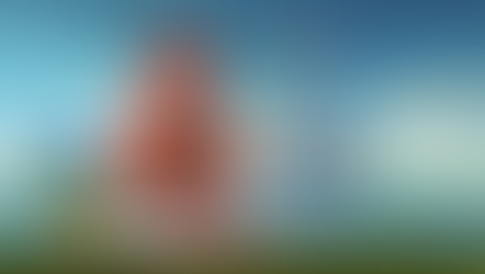 Structure in reports and presentations isn’t about decoration, formatting, or slide order. It is the difference between a message that lands and one that evaporates. JD Solomon Inc. provides practical solutions for communicating issues with high complexity and uncertainty.