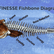 The FINESSE Fishbone Diagram is a cause-and-effect, systems‑based communication approach that helps technical professionals present complex information clearly and confidently.