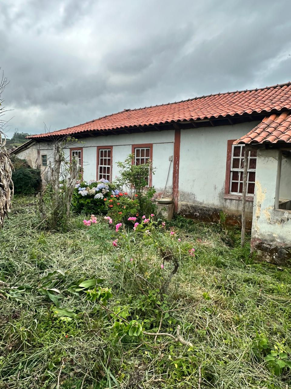 Miniatura: Fazenda Vista Nova