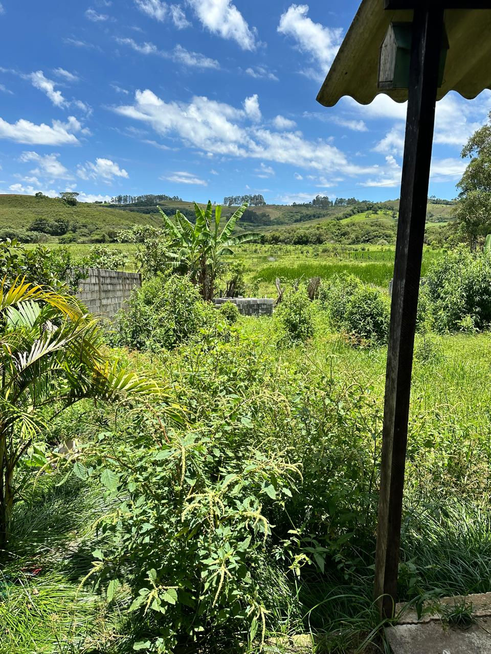 Miniatura: Casa no Bairro Santo Antônio