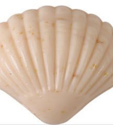 Mini, Shaped, Moulded Soap Gift, Sea Shell Shaped Soap , valentine soap gift, festival soap gift, hallowine soap gift