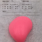 Sea Shell Shaped Soap, Gift Soap, Soap Mould, Molded Soap