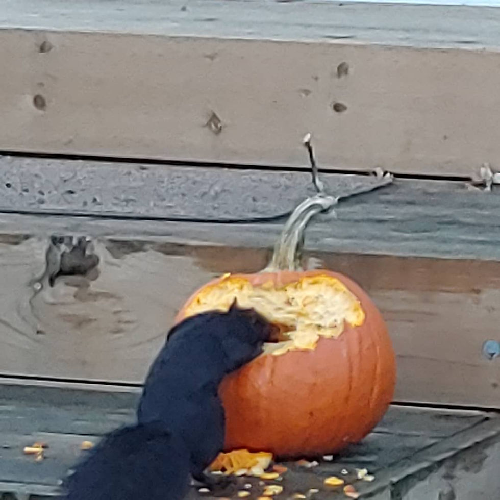 Sometimes you have to start 'messy' to create a masterpiece.