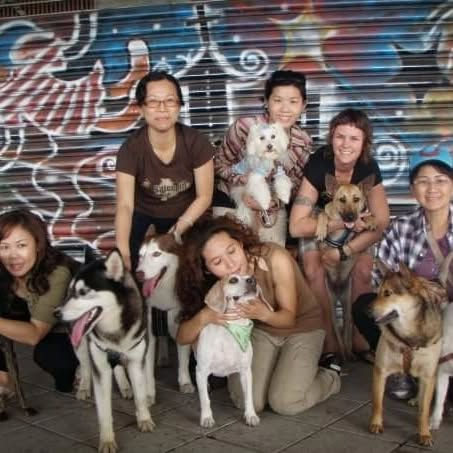 In Taiwan, I was fortunate enough to get to spend time with this wonderful group of women and their dogs I lovingly refer to as my 'Dog Mamas.' We met every night after work at a local park where we talked, walked, shared food and laughs as well as cared for the local pack of dogs as our dogs played together and with the pack. By the end of my stay, we banded together to spay/neuter & vaccinate all of the dogs in the pack. The impact these women had on who I have become is immense and although my ability to speak Chinese has dwindled and I cannot read it (other than a menu and street signs) , we share love through dog photos on Facebook from across the world. These women taught me so much about the goodness of community.