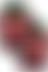 VITAMINS....Up to 20% off Vitamins & Supplements