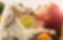 RAW PAWS PET FOOD