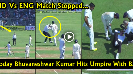 India vs England: Umpire Paul Reiffel Walks Off After Bhuvneshwar Kumar Throw Hits Him On The Head