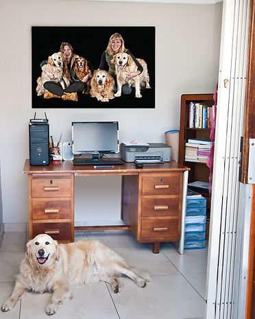 Kruger installation