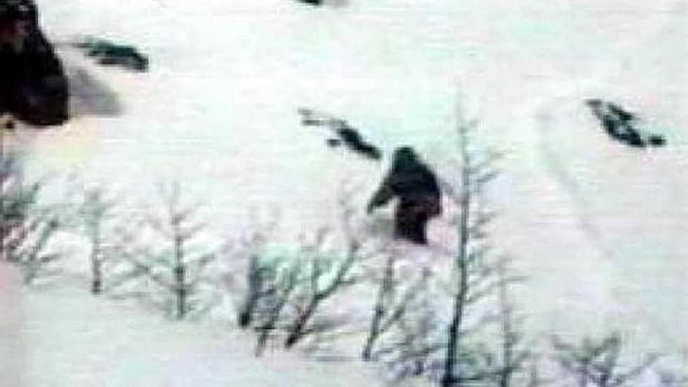 ree