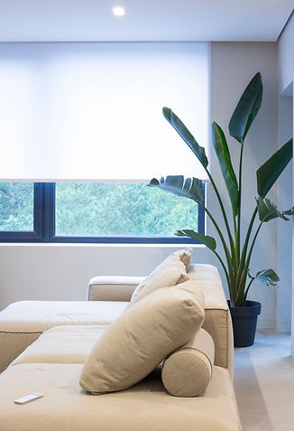 window shades