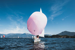 Surprise Meina Regata 49