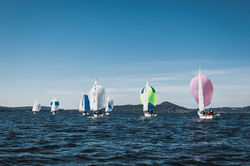 Surprise Meina Regata 63