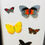 Thumbnail: Group of 11