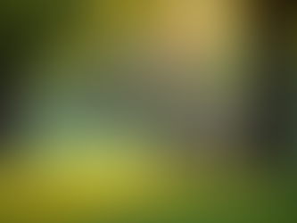 Ahlat Ağacı Üzerine