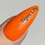 Tiger Lily_edited_edited.jpg