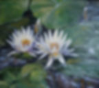 29595338_805640862955786_3782113953347185781_n (1)