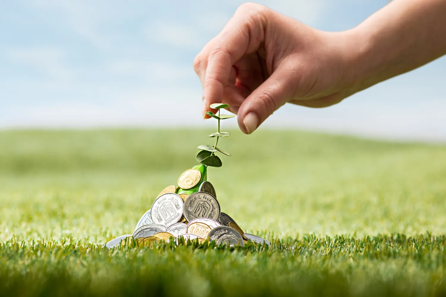 Rampal Group Banking and Finance Sector