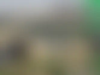 Today’s Takeaway from Coffeeshop Group Coaching – Beijing, China – 05 November 2019