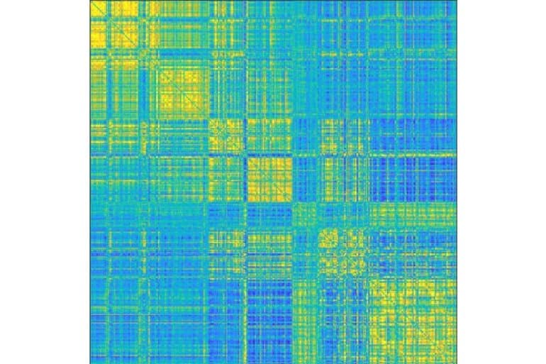 Our Brains Also Have A 'Fingerprint'
