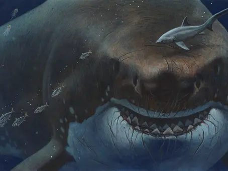 Uncover the Astonishing Facts about Megalodon, the Extinct Giant Shark
