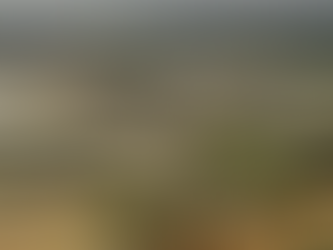 Pentagon Holds First Hearing in 50 Years on UFOs