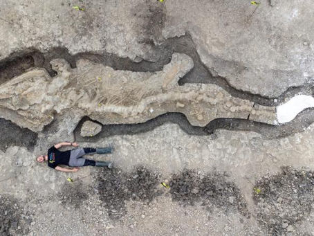 In the United Kingdom, a huge 180 million-year-old "sea dragon" fossil was discovered in a reservoir