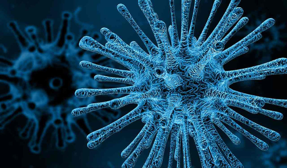 48,500yearold 'zombie virus' resurrected by scientists