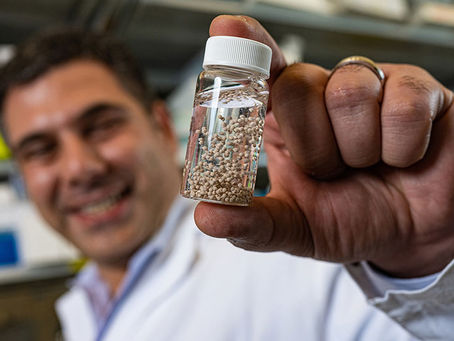 Implanted 'Drug Factory' Wipes Out Cancers in Mice 