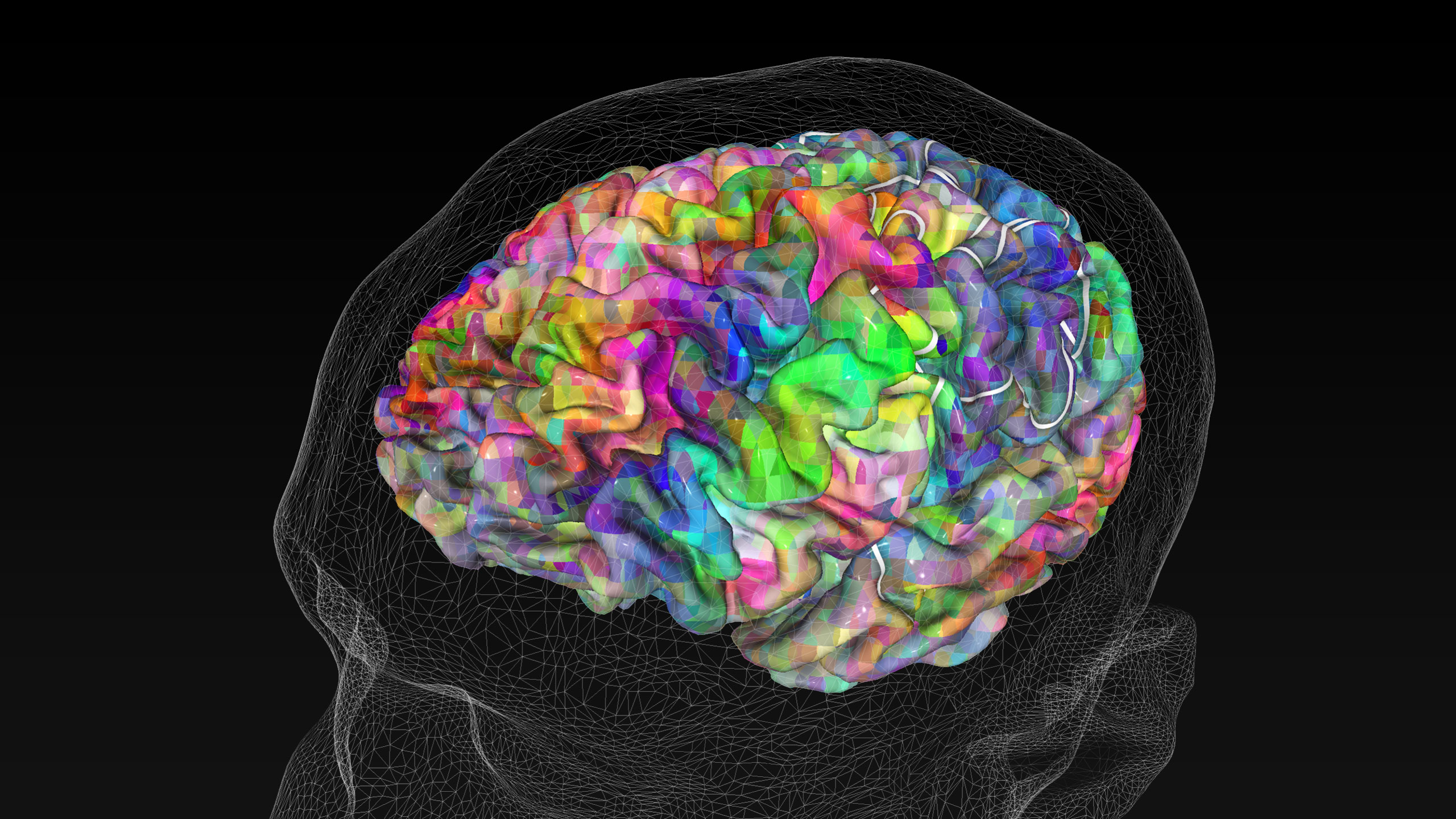 New research reveals that the cerebellum has a previously unknown function