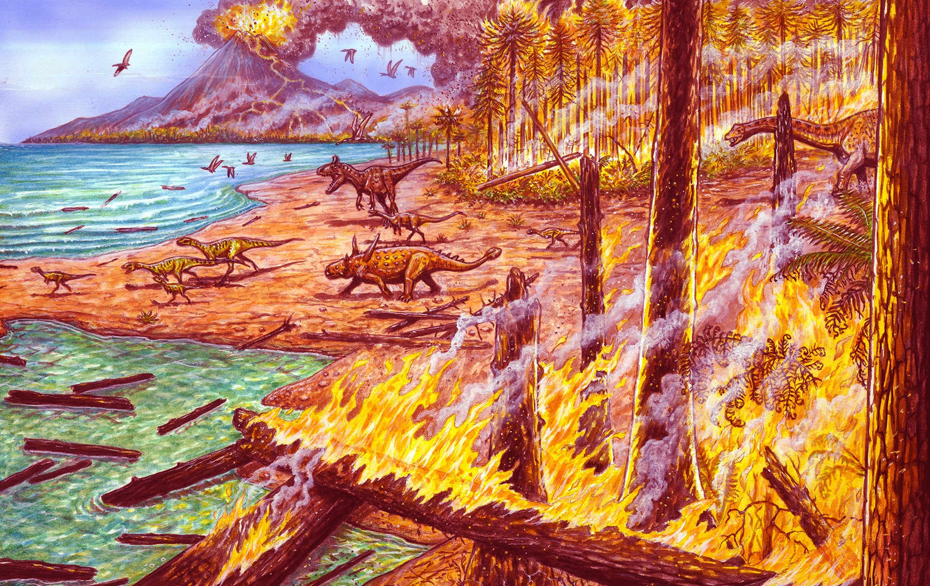 75 Million Years Ago, Antarctica Was Devoured By Flames