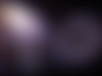 Black Holes May Contain Information from the Beginning of "Time"