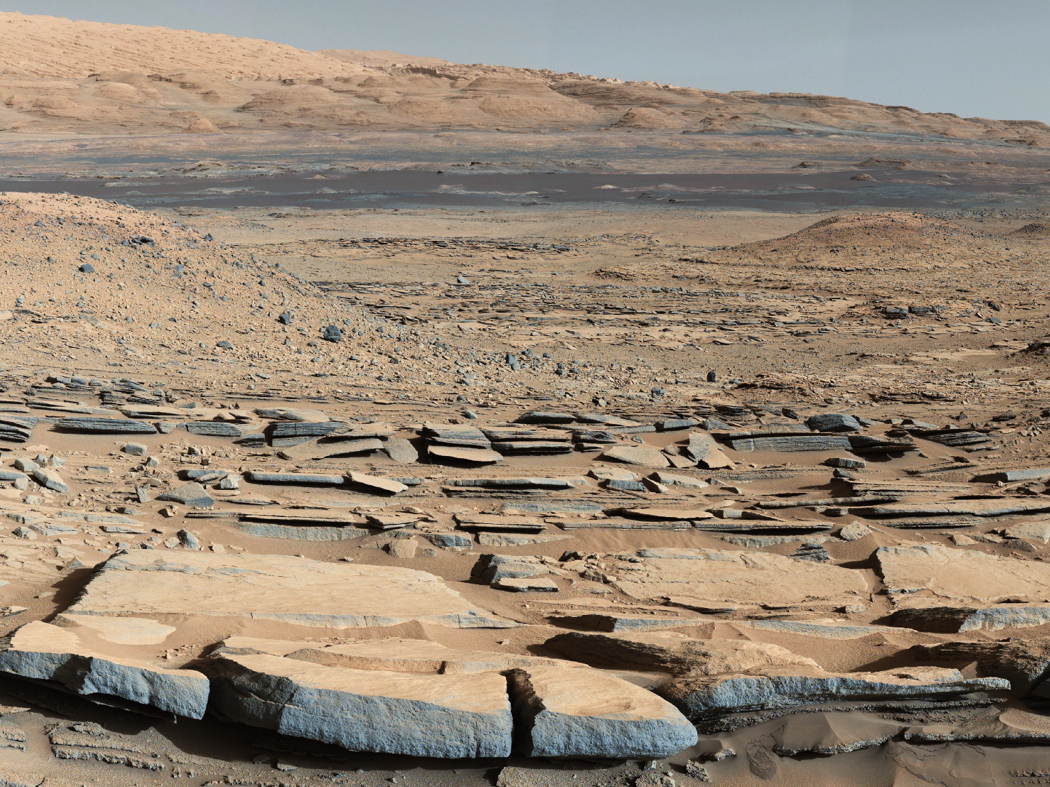 Some Scientists Believe All Life Started on Mars