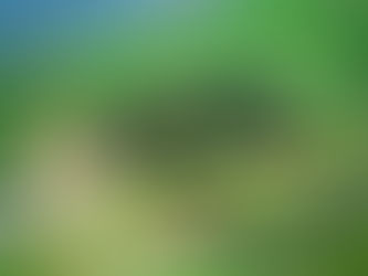 Archaeologists Discover Vikings Settled in America 500 Years Before Columbus